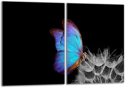 TMK ArtDeko - Beschermplaat Glas - Vlinder - 40x52cm - Geschikt voor Meerdere Toepassingen