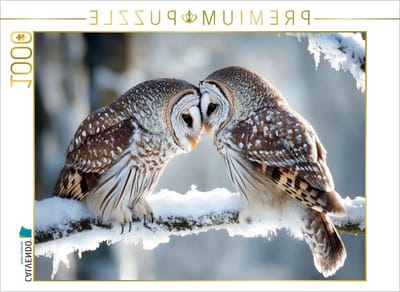 Winter Puzzel - Legpuzzel 1000 stukjes - Ontspannende hobby - Premium kwaliteit karton - 64 x 48 cm - Meerkleurig