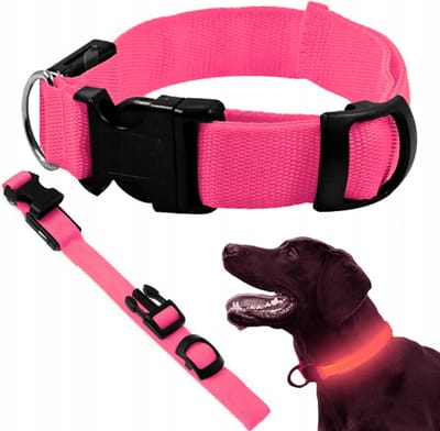 Actie4you® - Led Halsband Hond - 3 Standen - Verstelbaar 36 tot 59 cm – Lichtgevende Halsband - Roze