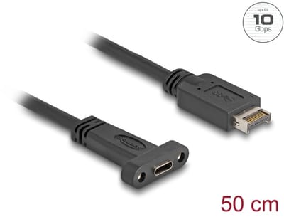 Delock USB 10 Gbps Cable USB Type-E Key A 20 pin male to USB Type-C™ female panel-mount 50 cm