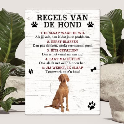 Spreuken - Vizsla Korthaar - Regels Van De Hond - Spreuken Bordjes - Spreukenbord - Tekstborden - Cadeau - Hondenras