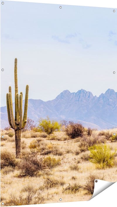 Gards Tuinposter Cactussen in de Woestijn - 100x150 cm - Tuindoek - Tuindecoratie - Wanddecoratie buiten - Tuinschilderij