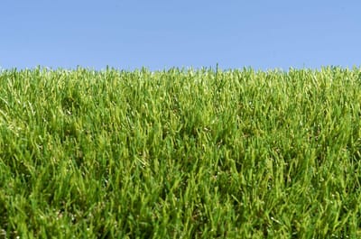 Kunstgras 2 x 6 meter - 30mm - Nederlandse Productie - Uitgeroepen zachtste Grastapijt | Waterdoorlatend | Tuin | Kind | Dier