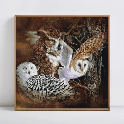 5D DIY Diamond schilderij volledige ronde bosuil diamant borduurwerk kruissteek 30x30CM gray