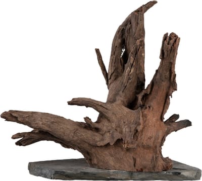 Sera Scaper Wood L - 30-35CM