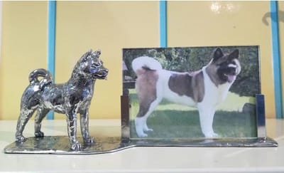 Amerikaanse Akita groot fotolijst Zilvertin