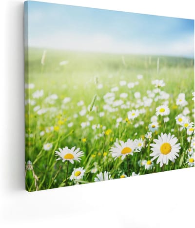Artaza Canvas Schilderij Madeliefjes - 100x80 cm - Groot - Wanddecoratie Bloemen - Muurdecoratie Weiland - Schilderijen Op Canvas