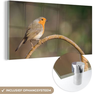 MuchoWow® Glasschilderij 40x20 cm - Schilderij acrylglas - Roodborstje - Vogel - Natuur - Foto op glas - Schilderijen