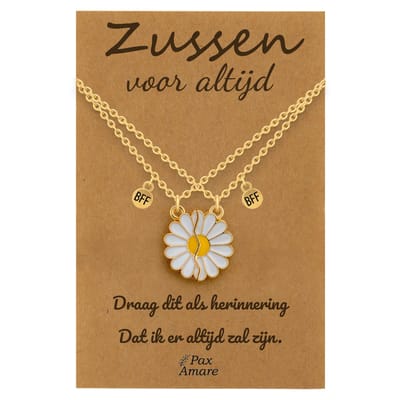 BFF Ketting voor 2 'Zussen voor altijd' - Magnetische Bloem - Vriendschapsketting op Cadeau Kaartje - 45cm + 5cm verstelbaar - Goudkleurig - Sisters Hanger - Pax Amare