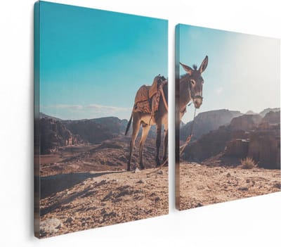 Artaza Canvas Schilderij Tweeluik Ezel In De Woestijn Met Helder Blauw Lucht - 120x80 - Foto Op Canvas - Canvas Print