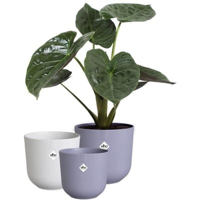 Elho Jazz Rond - Bloempotten voor Binnen - 100% Gerecycled Plastic - Set van 3 - Ø 14, 16, 19 cm - Multicolour