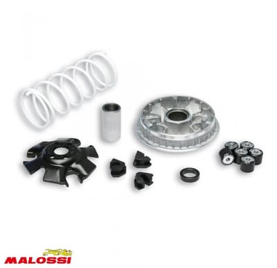 Variateur Malossi pour Scooter Suzuki 125 Uc Epicuro Après 2001 Neuf