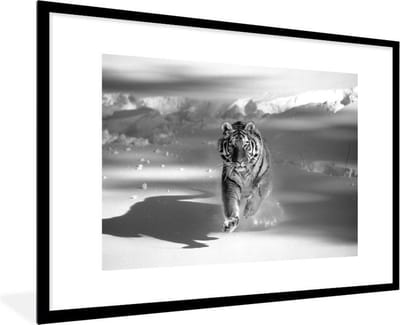 Fotolijst incl. Poster - Tijger - Jacht - Sneeuw - Zwart - Wit - 90x60 cm - Posterlijst