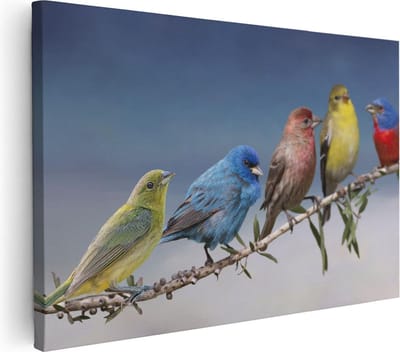 Artaza Canvas Schilderij Kleurrijke Vogels - 30x20 cm - Klein - Wanddecoratie Natuur - Muurdecoratie Vogels Op Tak - Kamer Accessoires