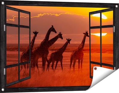 Gards Tuinposter Doorkijk Giraffe Kudde bij Zonsondergang - 90x60 cm - Tuindoek - Tuindecoratie - Wanddecoratie buiten - Tuinschilderij