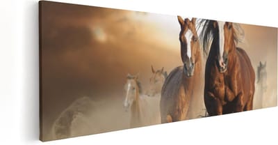 Artaza Canvas Schilderij Paard - 60x20 cm - Wanddecoratie Woonkamer - Muurdecoratie Dieren - Kamer Accessoires