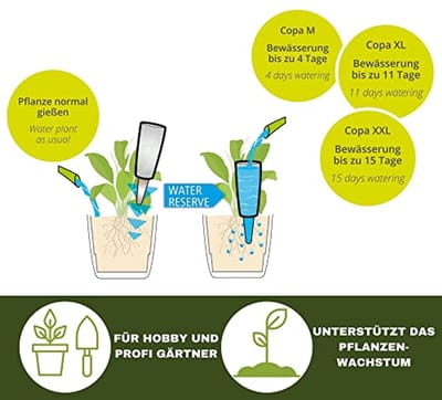 Transparante Waterdispenser voor Planten - 150 ml Irrigatiebal met Terracotta Steel
