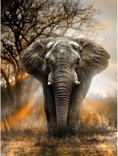 ***Diamond Painting - Olifant in Schemer - 50x60 - Volledige Bedekking - Vierkante Steentjes - Inclusief Premium Tools - Compleet met Premium Gereedschap - van Heble® ***