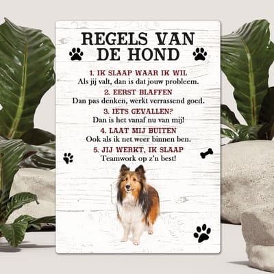 Spreuken - Collie - Regels Van De Hond - Spreuken Bordjes - Spreukenbord - Tekstborden - Cadeau - Hondenras
