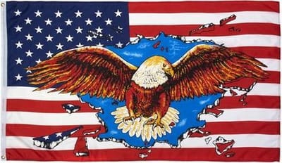 Vlag van de USA met adelaar 90 x 150
