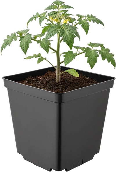 Garronda Vierkante kunststof bloempot met drainagegaten voor tuin (Zwart, 15 x 15 x 15 cm (2,5L)) GD-KW-S