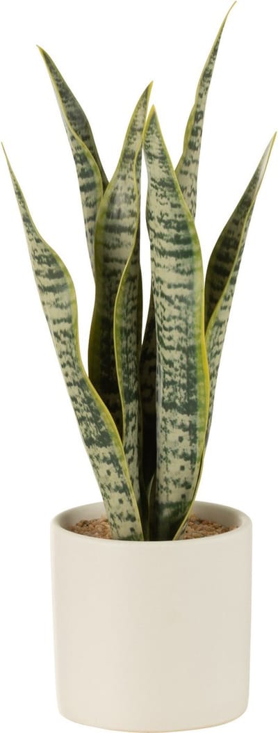 J-Line plant Sansevieria in pot - kunststof - groen - small