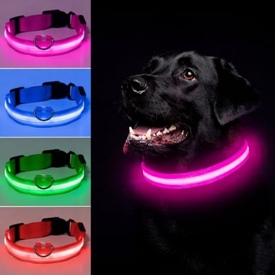 Honden halsband LED - Maat L - USB-oplaadbaar - 100% waterdicht - Roze - Halsband met verlichting - 3 verschillende standen - Lichtgevende hondenhalsband - Super helder licht - Voor huisdieren
