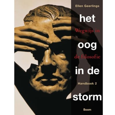 Het Oog In De Storm - Ellen Geerlings