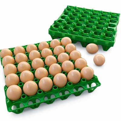 Kunststof Eiertray voor 30 Eieren – Set van 5 Eierrekken – Geschikt voor Kippeneieren en Kleine Eieren – 29 x 29 cm