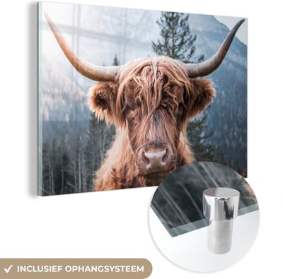 MuchoWow® Glasschilderij 60x40 cm - Schilderij acrylglas - Schotse hooglander - Bergen - Portret - Foto op glas - Schilderijen