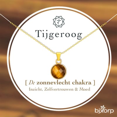 Bixorp Tijgeroog Rondje Ketting - S925 Zilveren Ketting - Facetgeslepen Ronde Edelsteen Hanger - Minimalistische Bedel - 45cm + 5cm verstelbaar