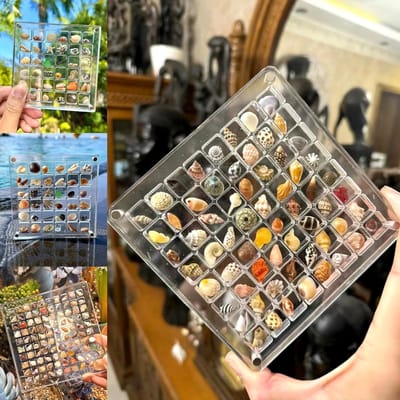Heldere Acryl Displaydoos voor Schelpen, Opbergdoos voor Sieraden, Organizer voor Diamanten en Edelstenen (64 Rasters)
