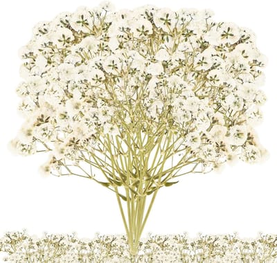 Allecto Plus - Gedroogde bloemen mix - 100 stuks voor handwerk en decoratie met mini-gypsophila bloemetjes
