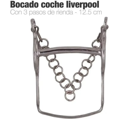 Mors Liverpool voor paard 3 posities Zaldi