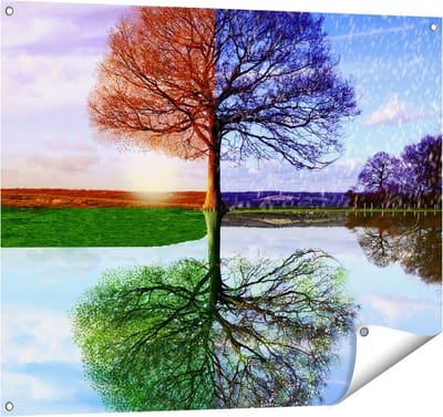 Gards Tuinposter Vier Seizoenen Boom - 100x80 cm - Tuindoek - Tuindecoratie - Wanddecoratie buiten - Tuinschilderij
