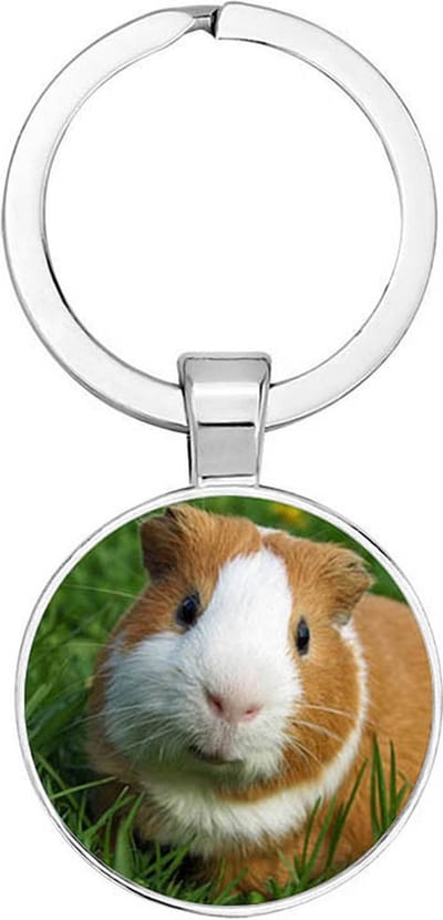 Akyol - Hamster Sleutelhanger - hamster - mensen die houden van hamsters - dieren liefhebber - houden van - verjaardagscadeau - gift - geschenk - kado - 2,5 x 2,5 CM