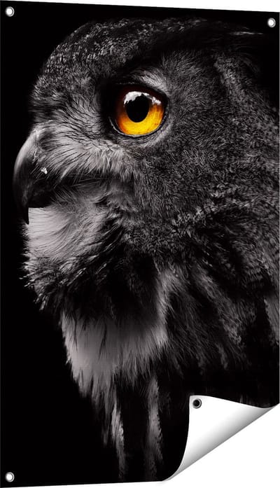 Gards Tuinposter Zwarte Uil met Gouden Ogen - 60x90 cm - Tuindoek - Tuindecoratie - Wanddecoratie buiten - Tuinschilderij