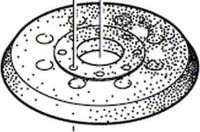 Bosch Accessoires Schuurplateau | 125 mm | Voor Bosch GEX 125-1 AE - 1600A01CU1