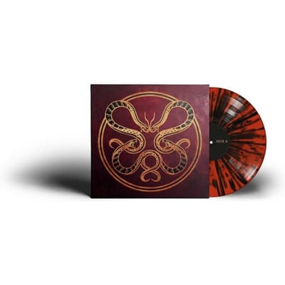 Vicious Rain LP - The Anatomy of Surviving - voor Geen - standaard