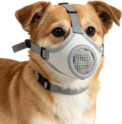 Hondenmuilkorf - Anti-bijt Kapje - Veilig Reizen - Ademend Mesh Ontwerp - Maat L - Veelkleurig