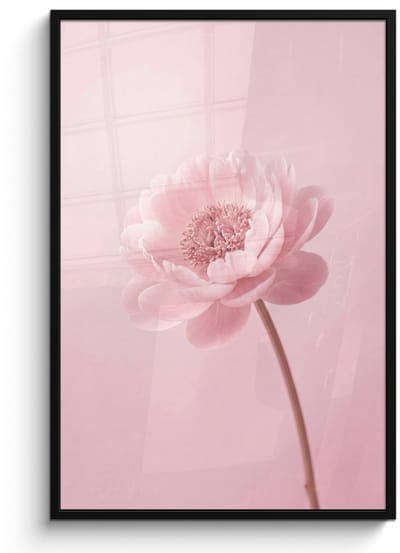 Poster in lijst - Fotolijst 80x120 cm - Posters - Bloem - Pioenroos - Roze - Posterlijst zwart - Decoratie - Wanddecoratie woonkamer - Muurdecoratie slaapkamer