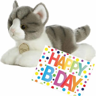 Pluche knuffel poes - grijs / wit - 20 cm - met A5-size Happy Birthday wenskaart - cadeau - kat - Verjaardag cadeau setje