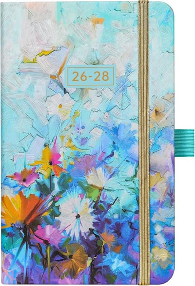 Zakplanner Kalender - Maandelijkse Planner - Langetermijn Planning - Drie Jaar Dekking - 63 x 38 Inch - Meerkleurig