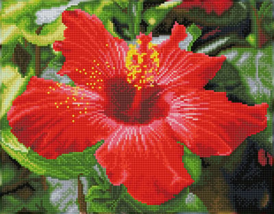 Full Diamond Painting Volwassenen Met Lijst/Frame - Hobby - Volledig Pakket - Vierkante Steentjes - DQK8.018 Diamond Dotz® - Hibiscus bloem 32 x 41cm