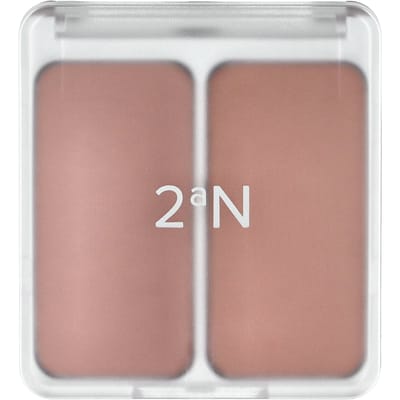 2aN Dubbele Wangkleur, 05 Mood In Cheek, 9g gray