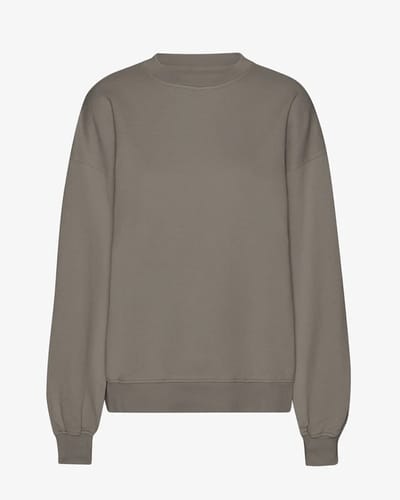 Oversized sweatshirt Colorful Standard Misty Brown