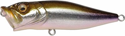 Topwater Popper Vliegen Vissen Kunstaas Hondewandelnaturel
