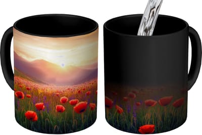 Magische Mok - Foto op Warmte Mokken - Koffiemok - Landschap - Zonsondergang - Bloemenveld - Magic Mok - Beker - 350 ML - Theemok