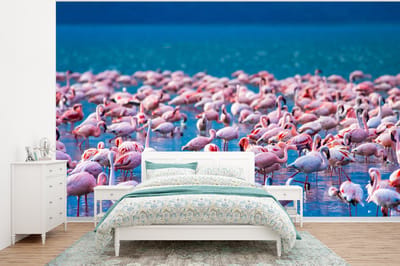 Behang - Fotobehang Flamingo - Water - Tropisch - Water - Roze - Breedte 400 cm x hoogte 300 cm