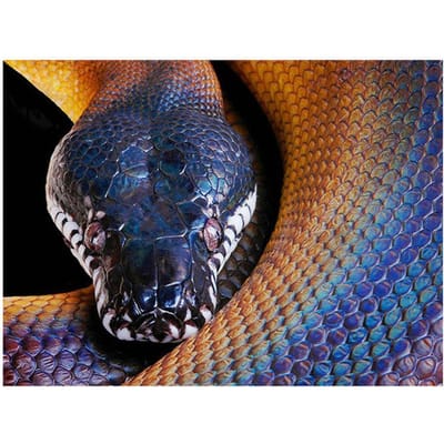 Peinture diamant serpent, point de croix, mosaïque, artisanat, perceuse ronde complète, broderie diamant 20X30CM black